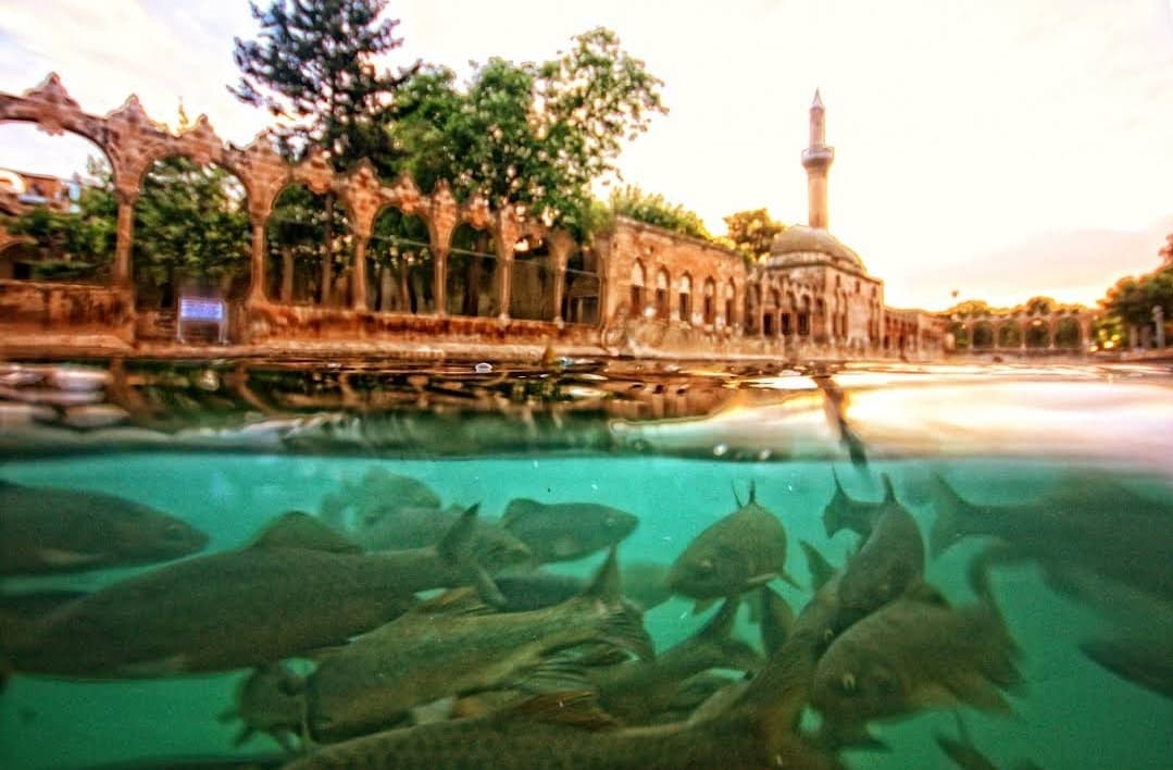Balıklıgöl
